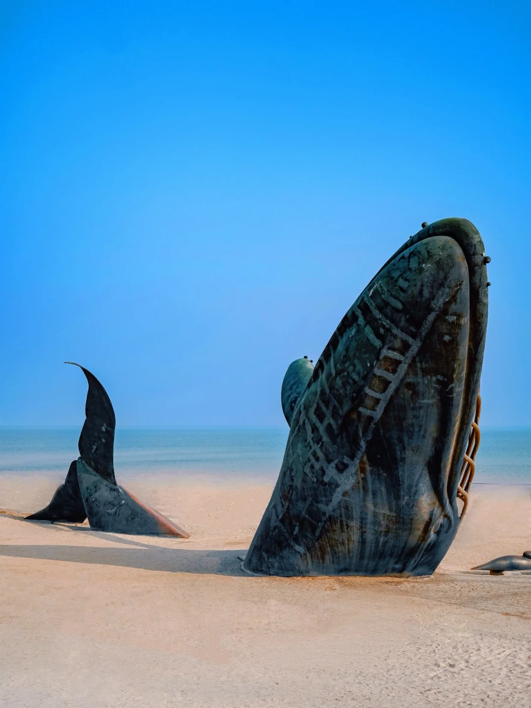 为了这18张照片，特意飞了趟烟台（附机位