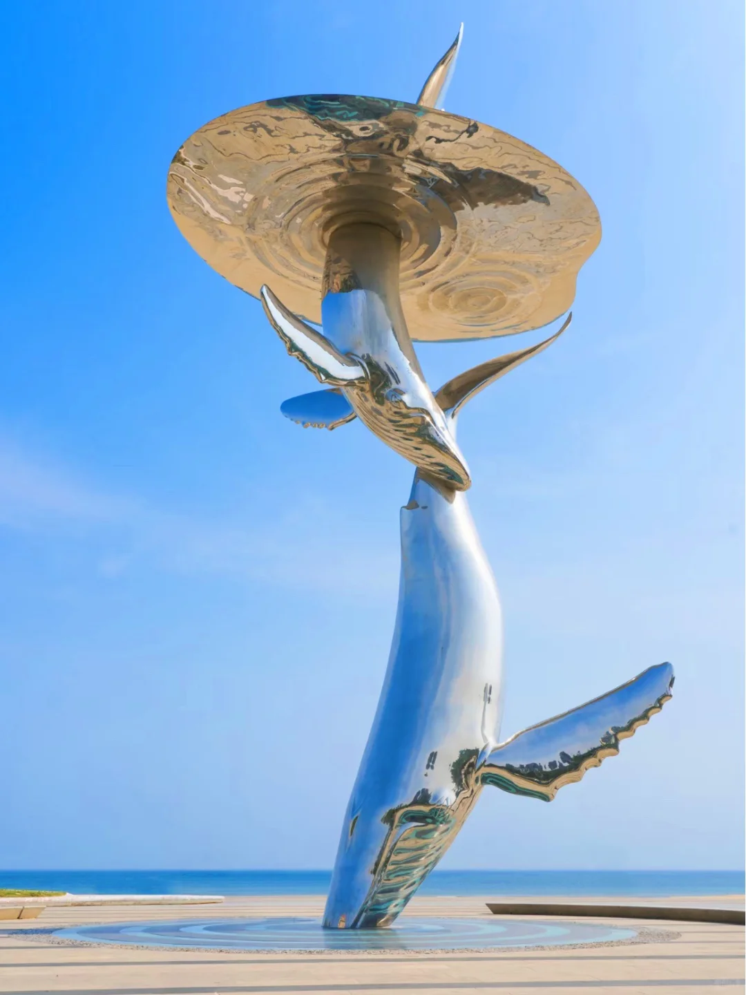 为了这18张照片，特意飞了趟烟台（附机位