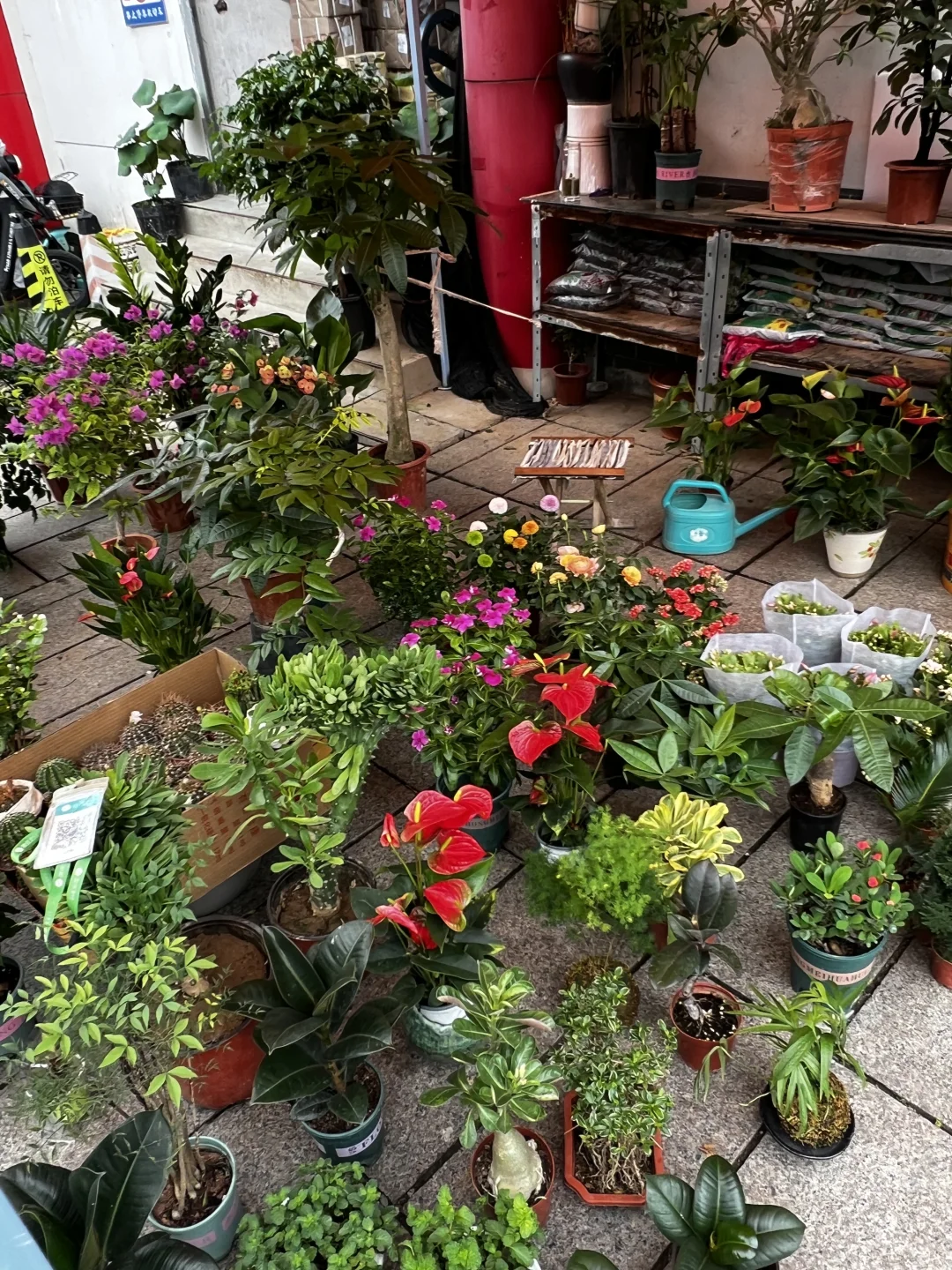 12.6实况！济南英雄山市集有一亿人。。。。。