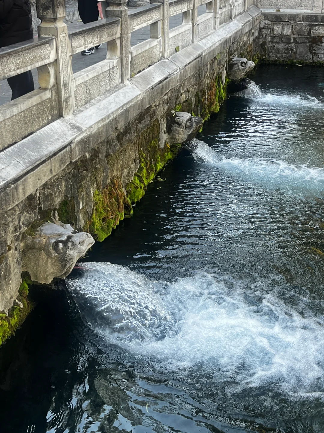 济南刚回可问！两天一夜特种兵旅游攻略