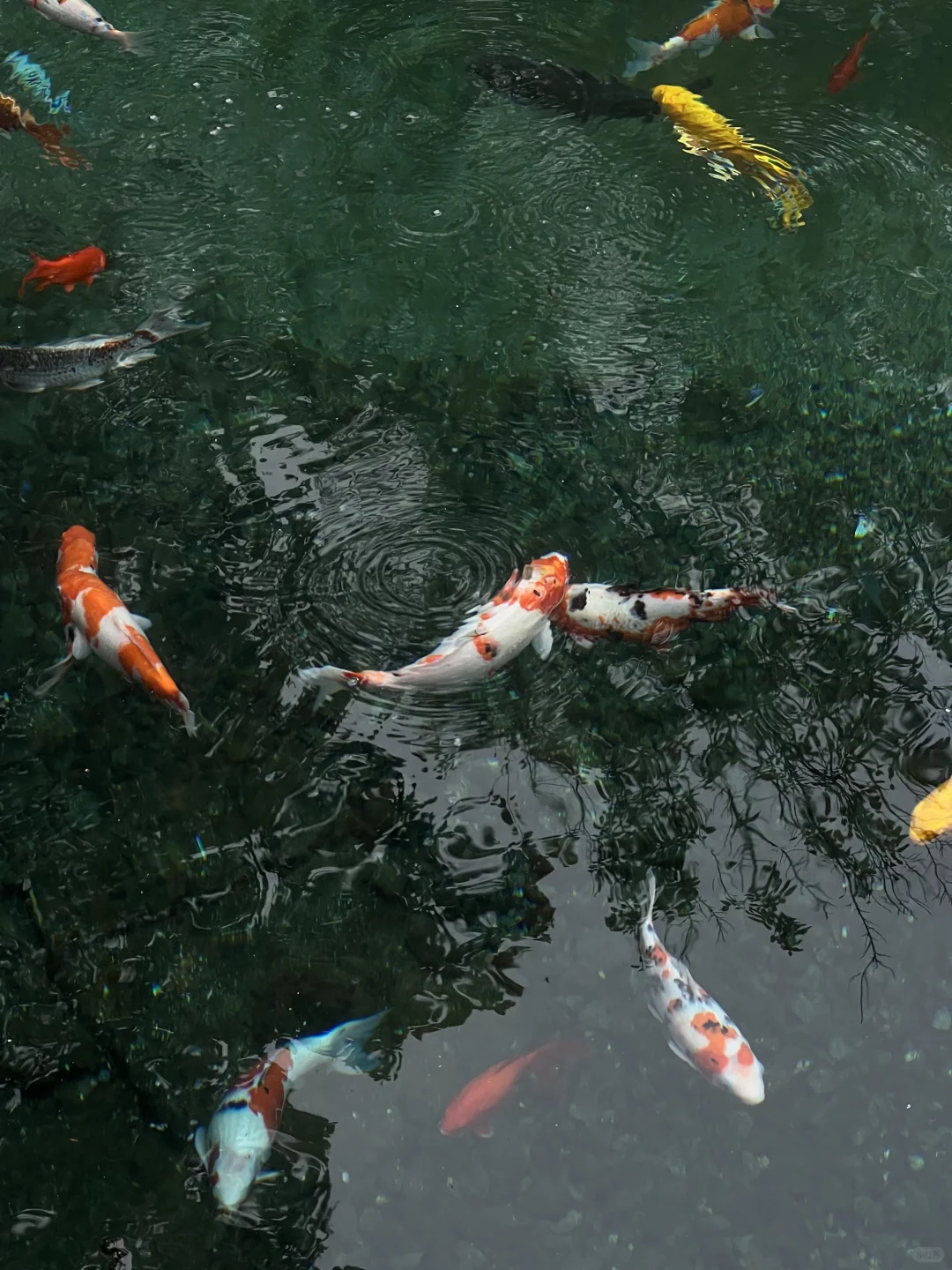 对济南明水古城上魅了🍂