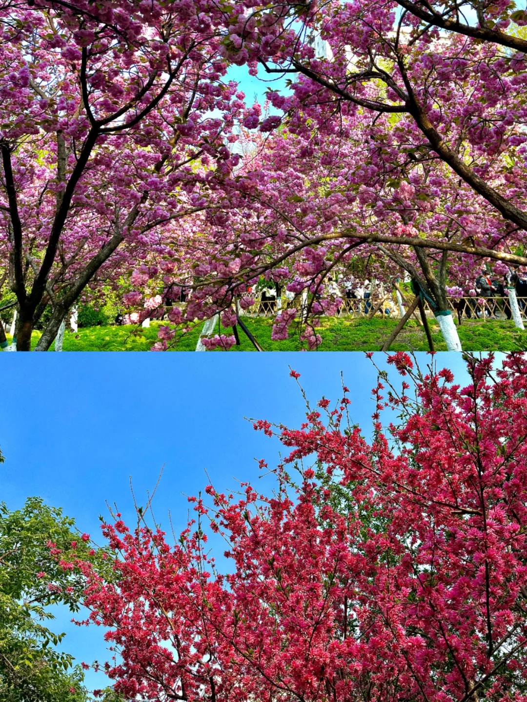 太原—济南（💰放plq）