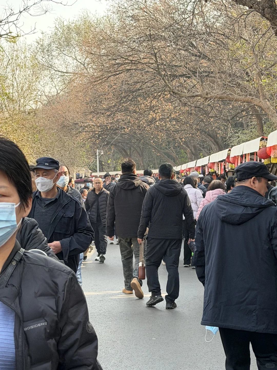 12.6实况！济南英雄山市集有一亿人。。。。。