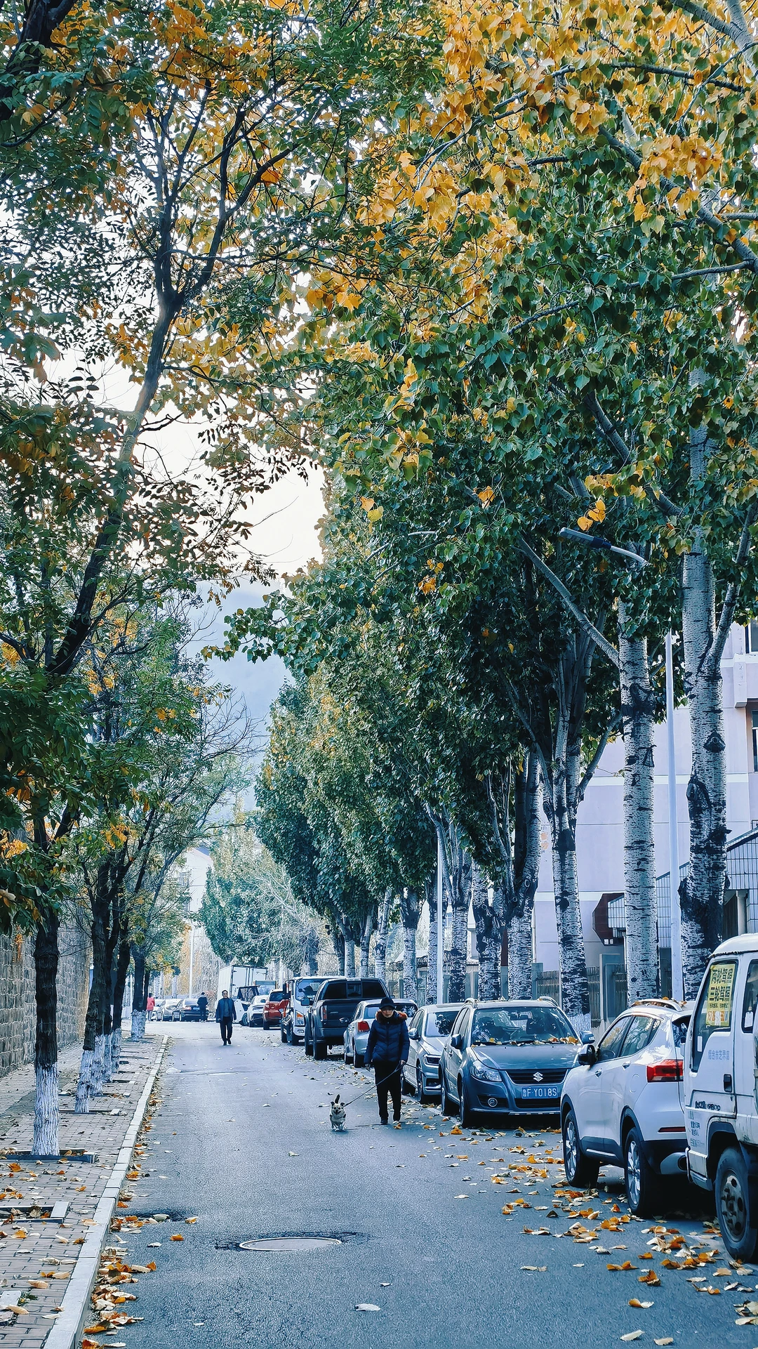 散落在烟台老巷子里的光，又有着谁的故事