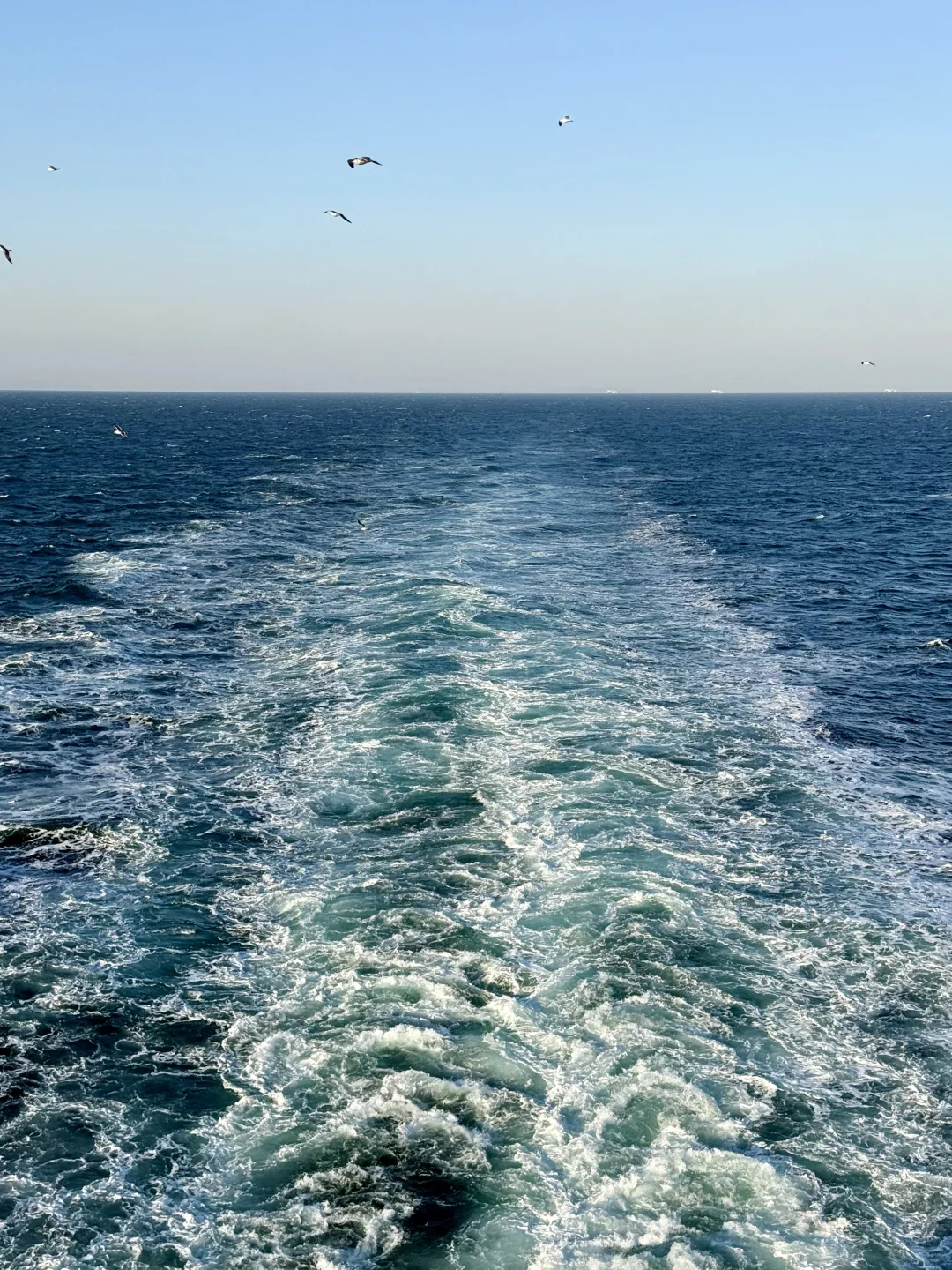 与世界失联的7h ⛴️