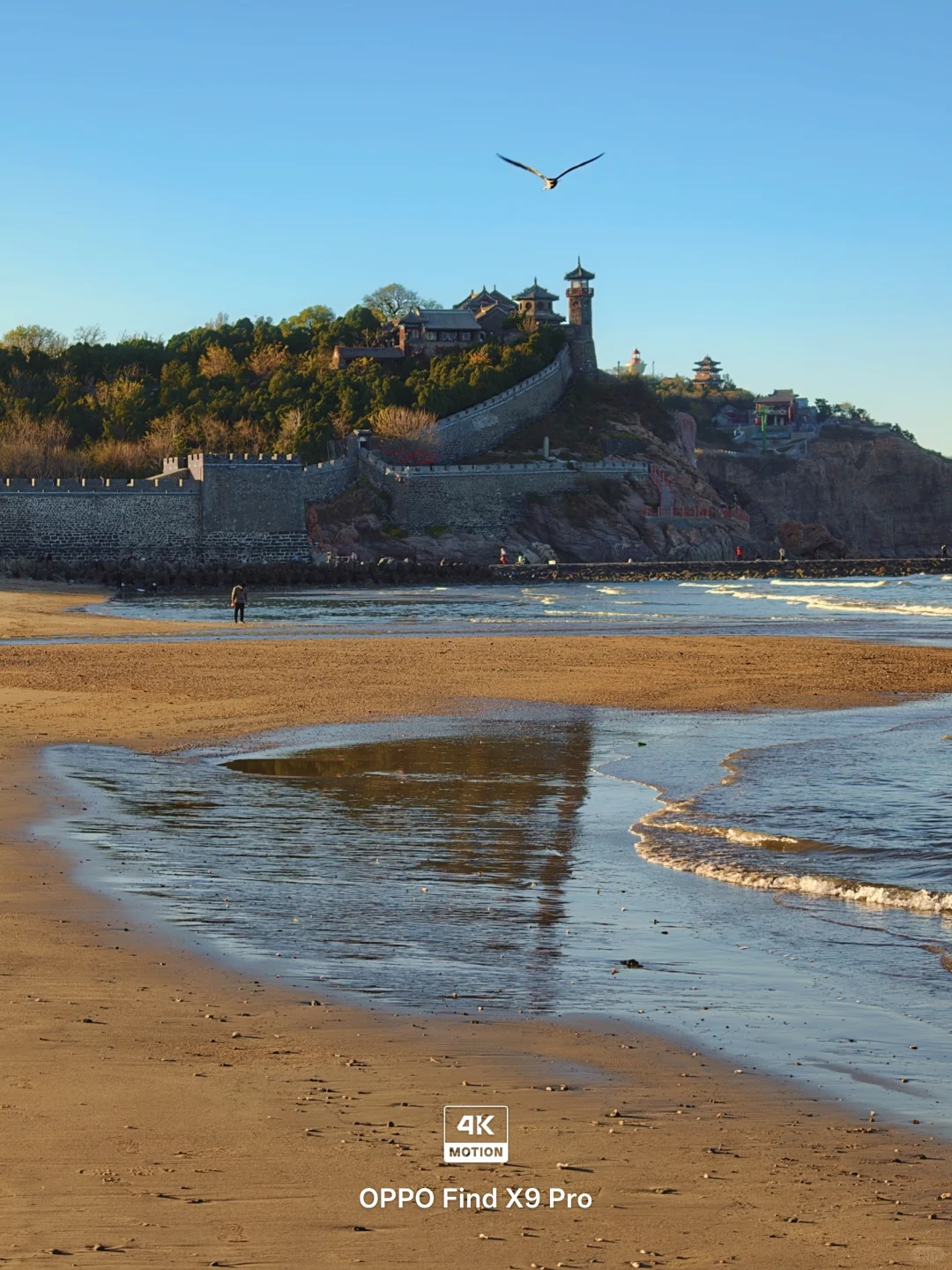 live图，淡季的烟台真是人间理想‼️