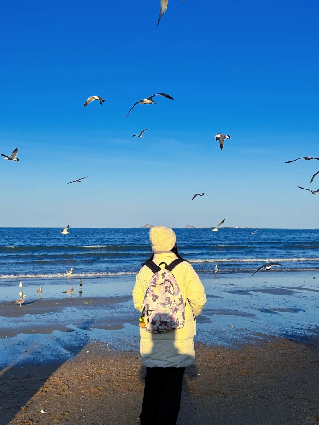 烟台！终于遇到我的理想海边城市