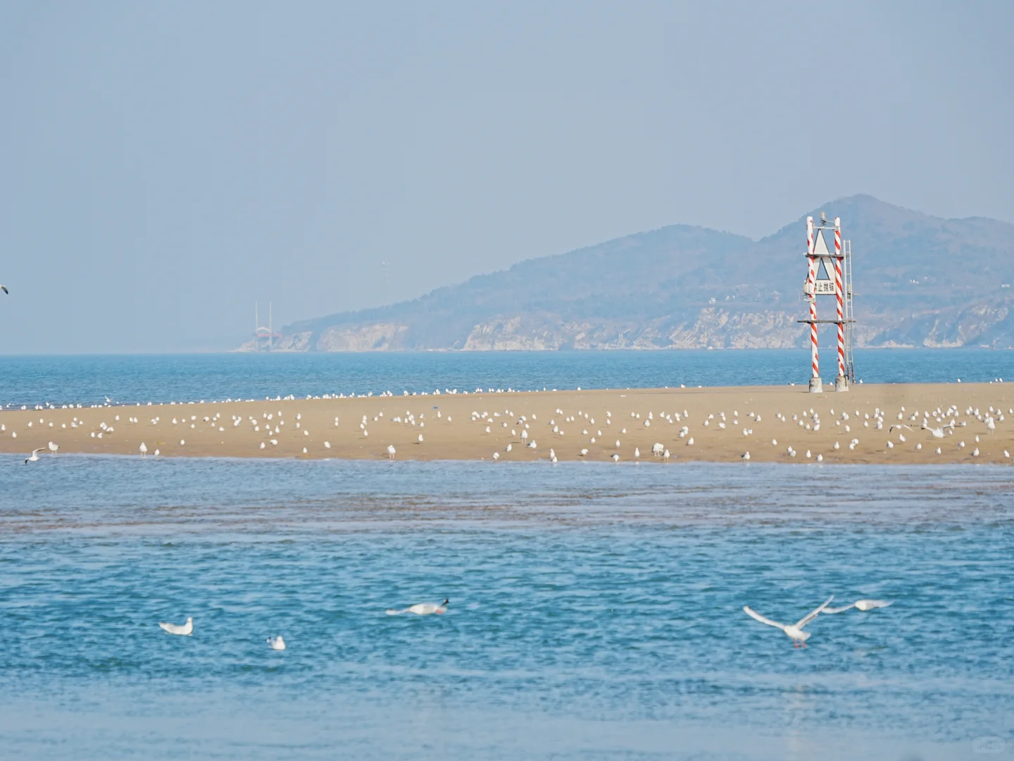 烟台真的很舒服