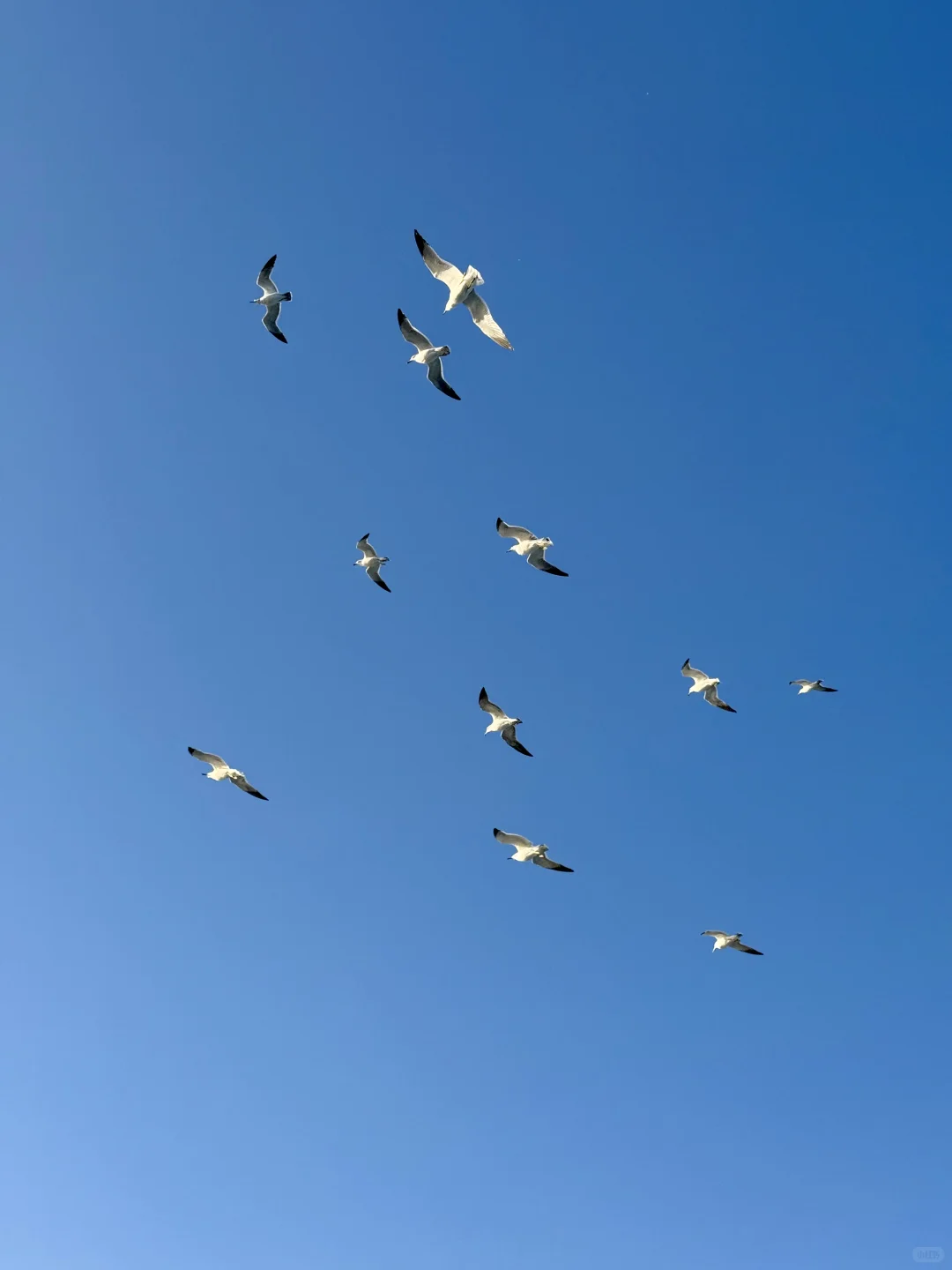 与世界失联的7h ⛴️