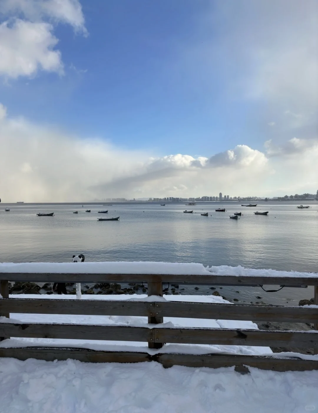 不看后悔！冬游烟台超全不踩雷旅游攻略！