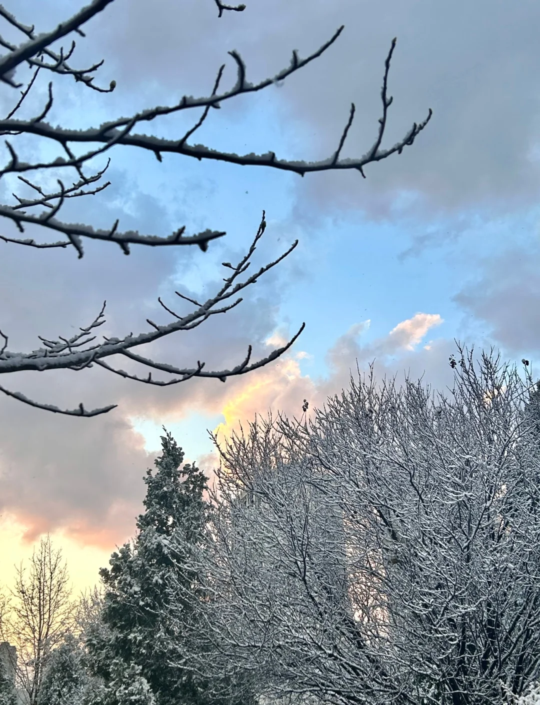 烟台跨年保姆级攻略✨ 看海看雪+老街狂欢