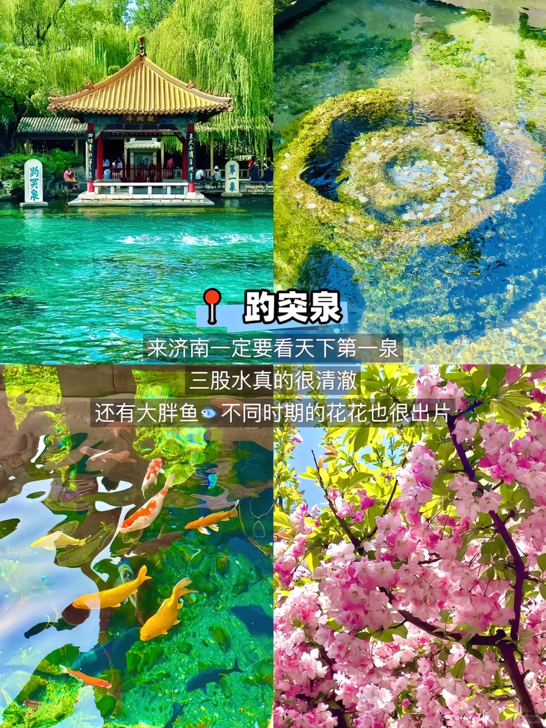 济南、济南的济南是这样写的！