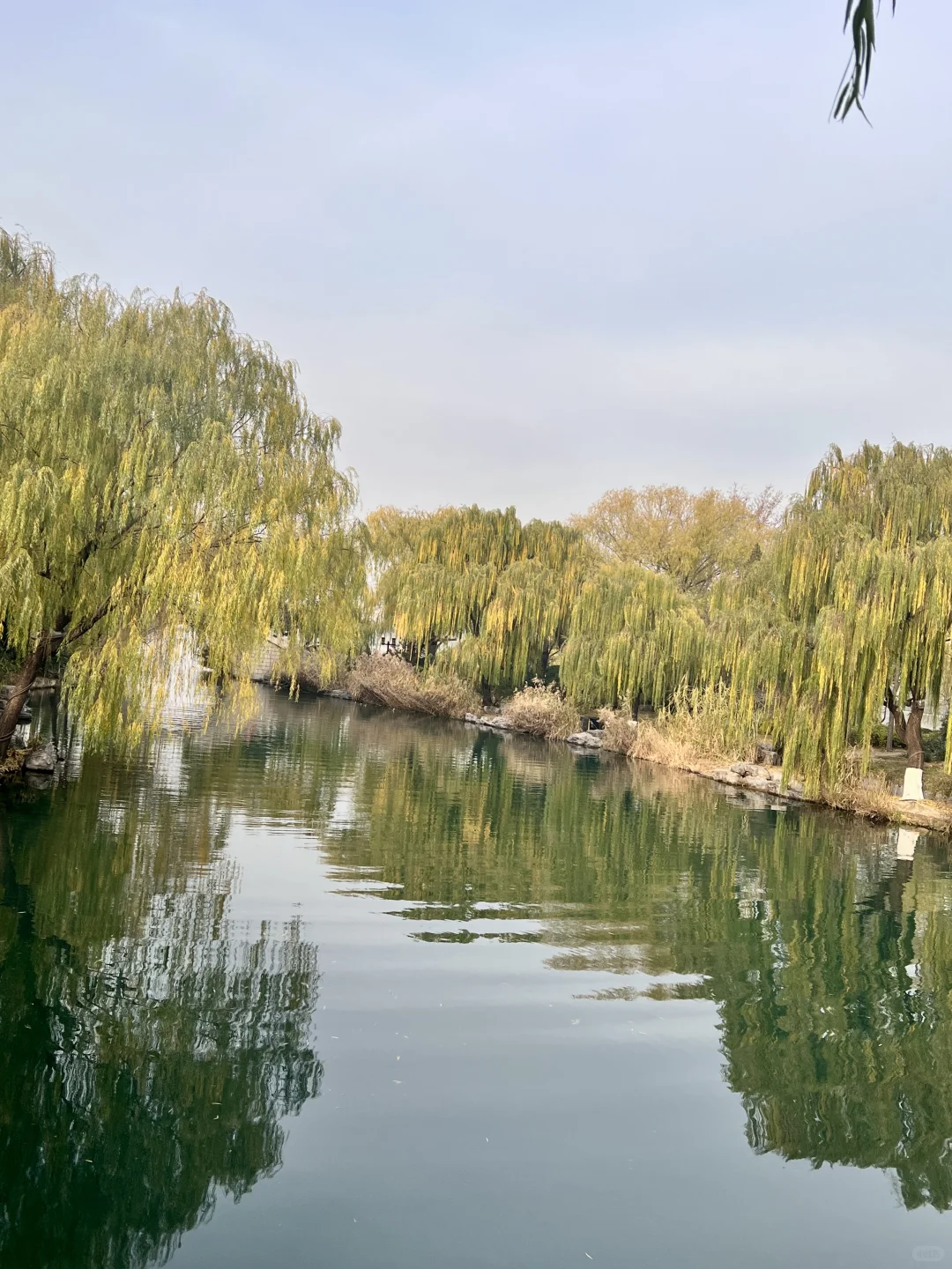 12.7日初冬的绝美大明湖