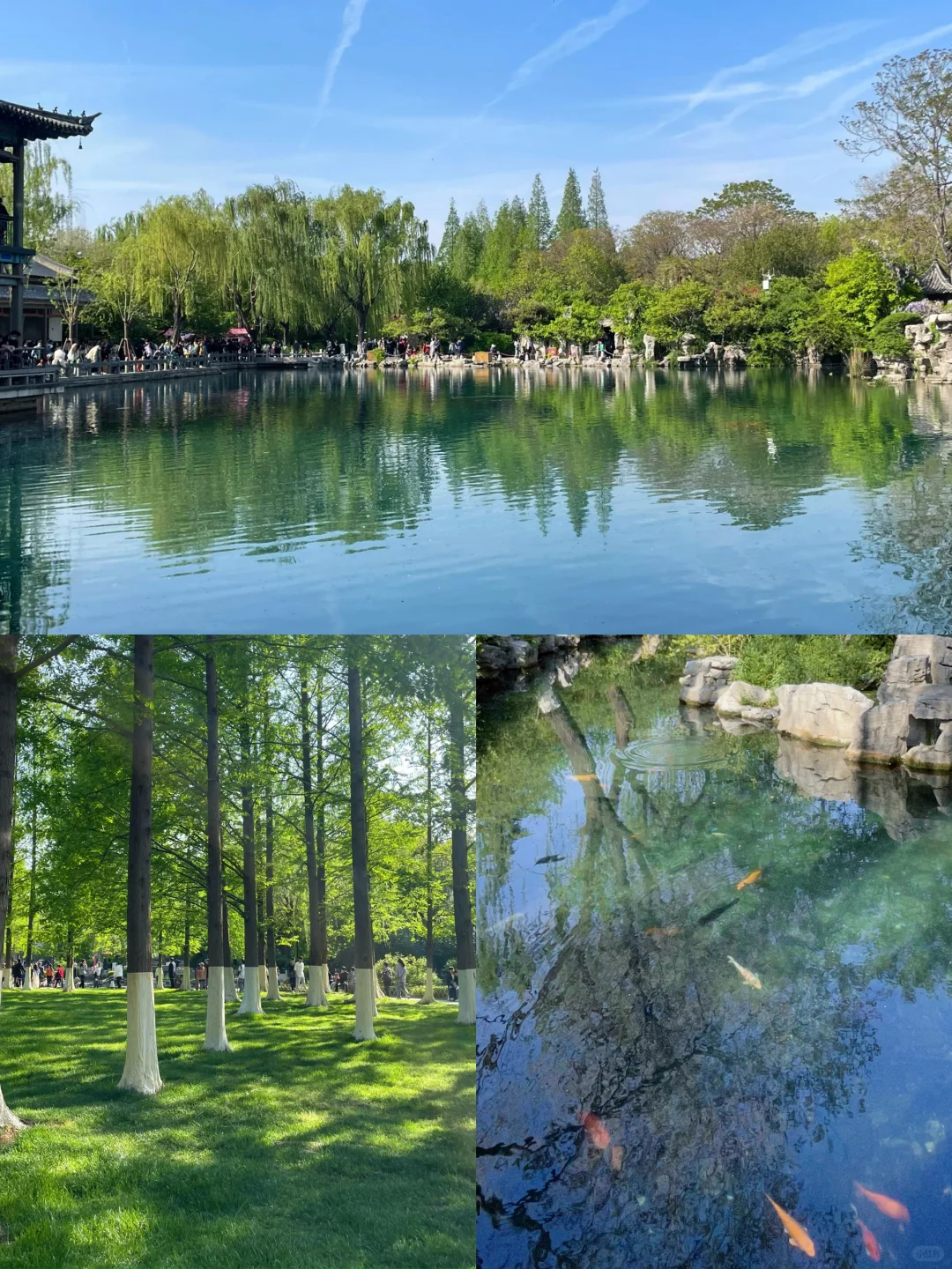 济南替大家试过了，2天1夜直接抄作业❗️