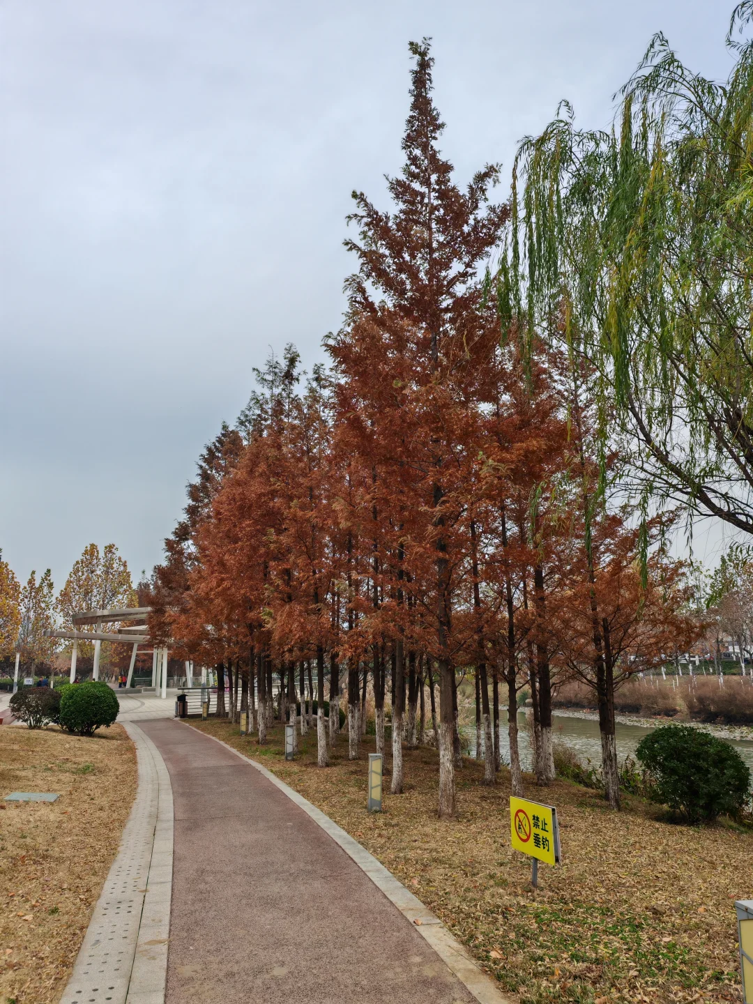 烟台没了啤酒，能否勾起你对往事的回忆？