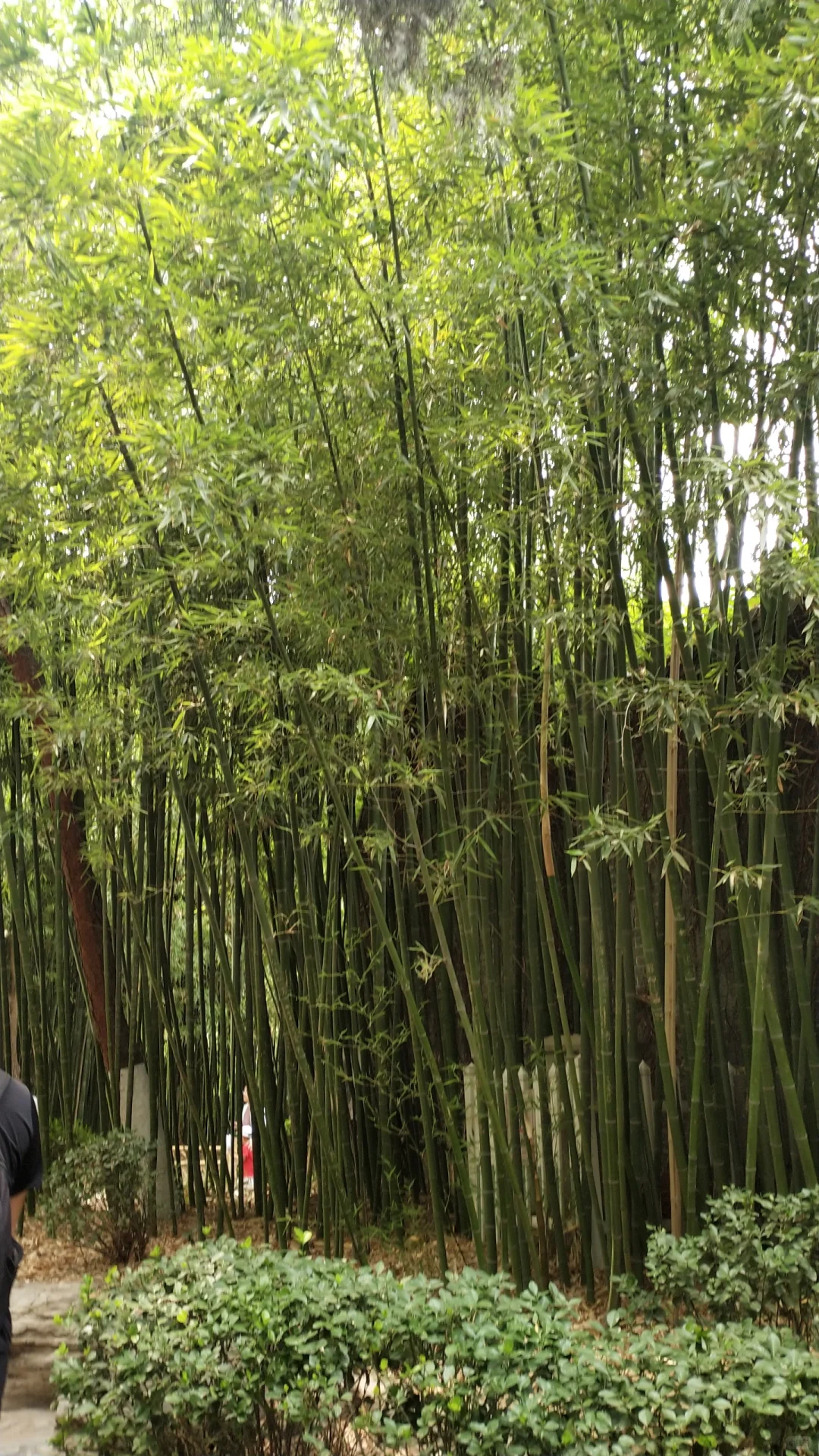 来济南溜达的一天