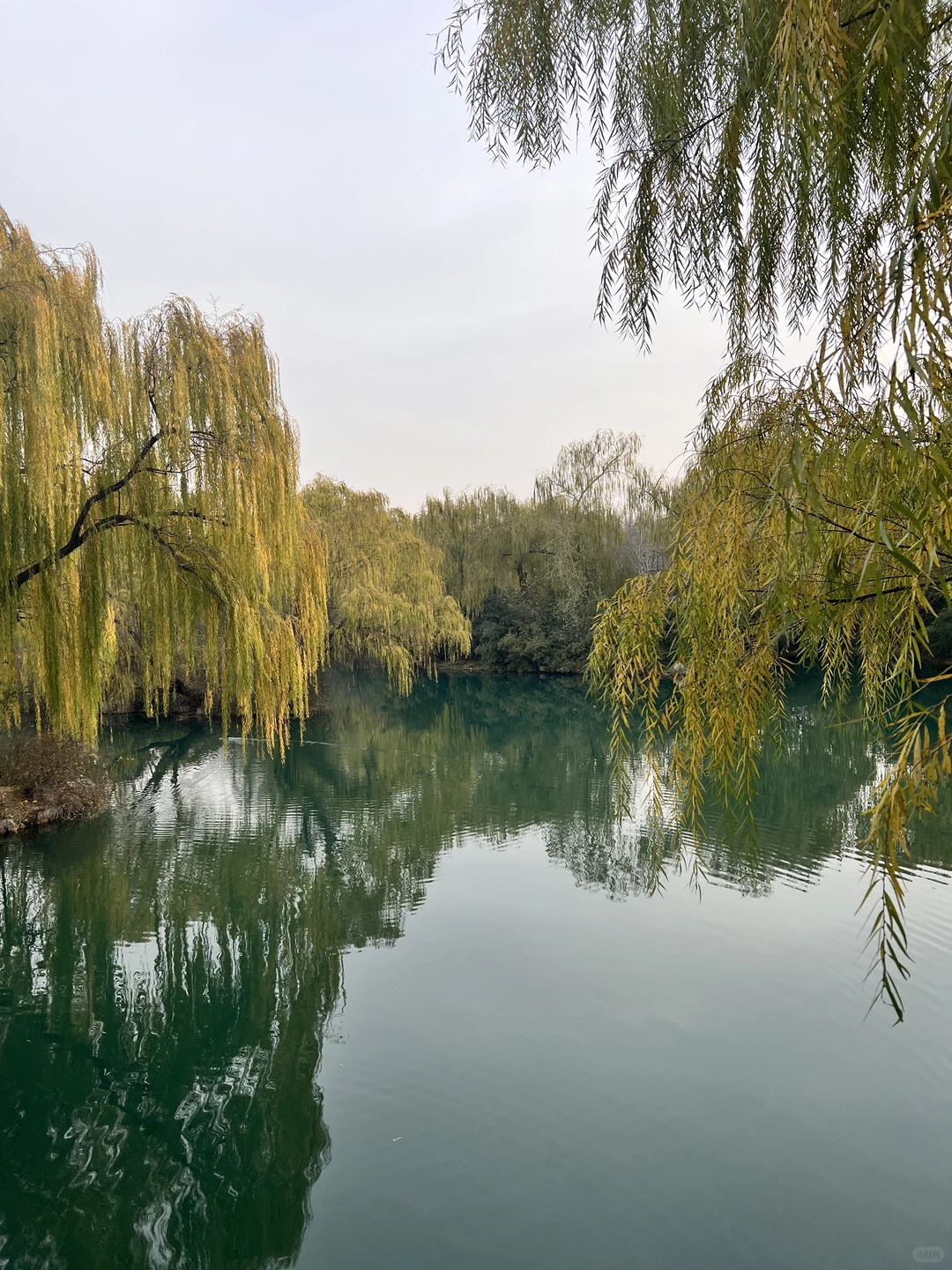 12.7日初冬的绝美大明湖