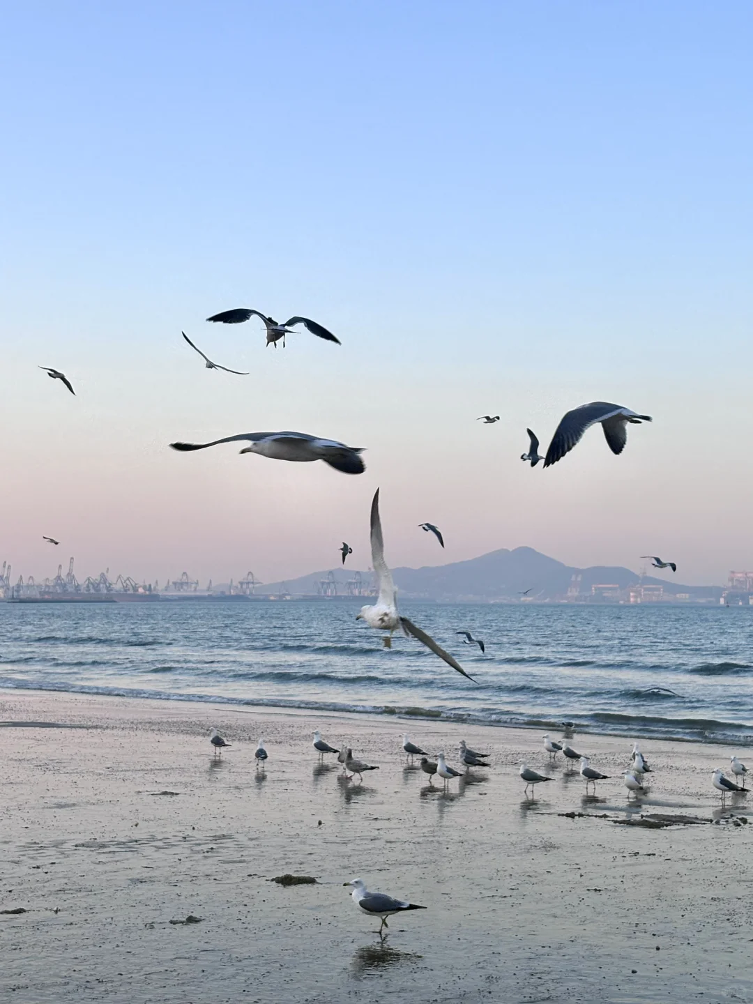 live实况，没人告诉我烟台这么美啊。。。