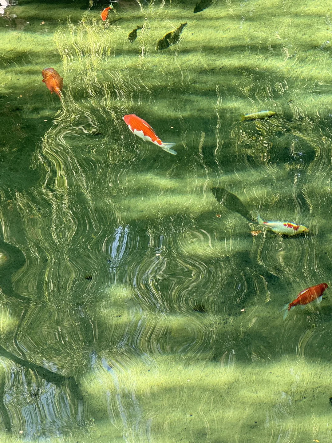 一个人的济南, day2, 花费 165