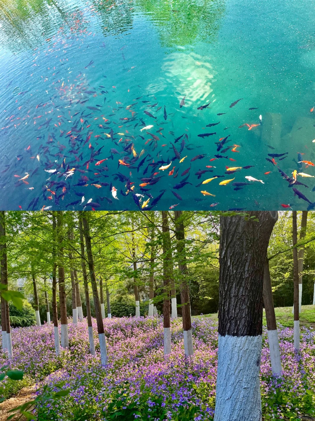 太原—济南（💰放plq）