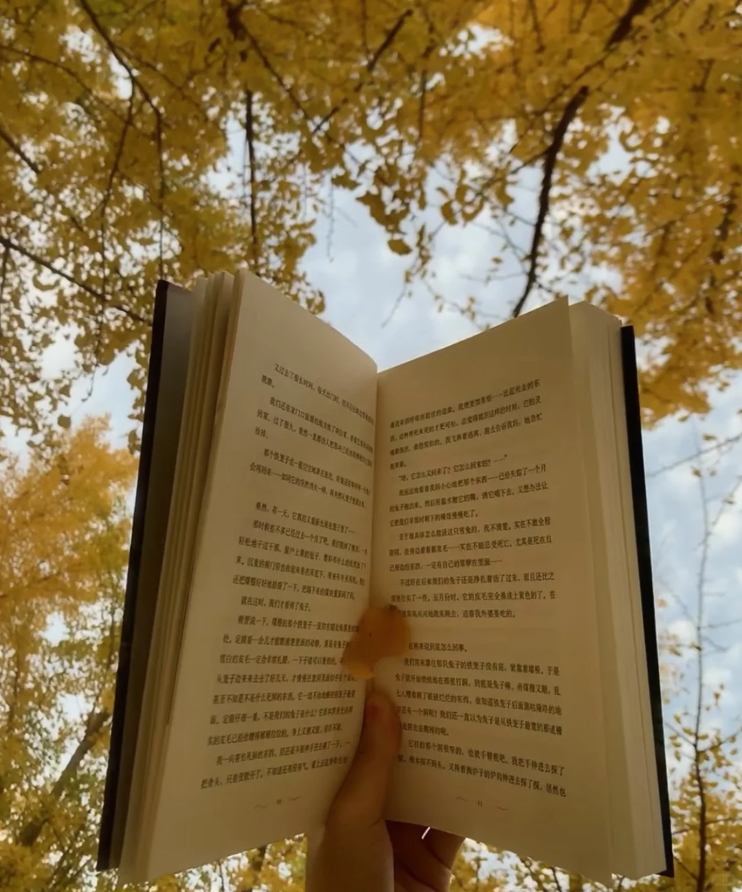 被赞爆了的朋友圈文案🥳｜📍𝐉𝐢 𝐍𝐚𝐧