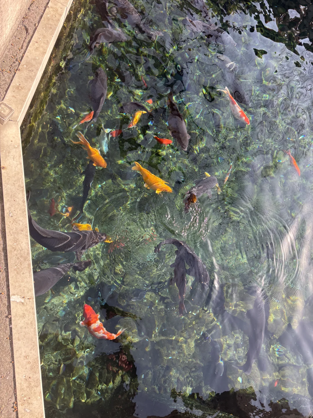 济南地陪1.13工作日景点实况