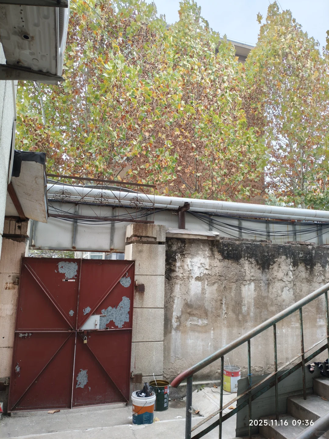 在奥体工作但是热爱济南老城的烟火气怎么办