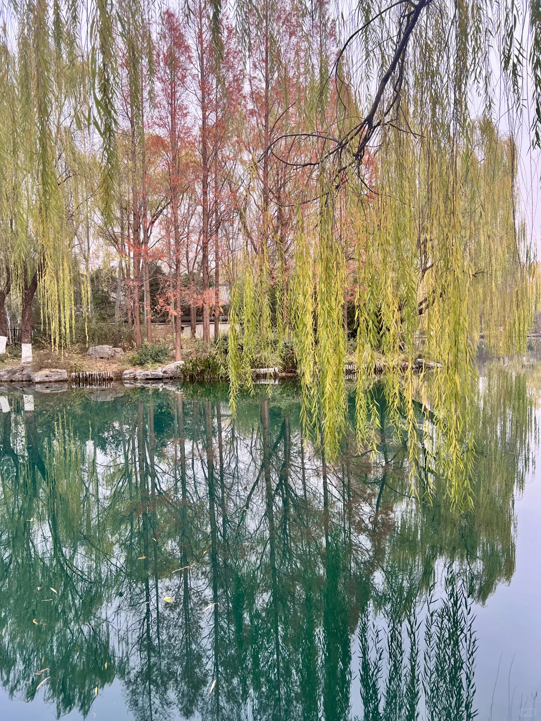 12.7日初冬的绝美大明湖