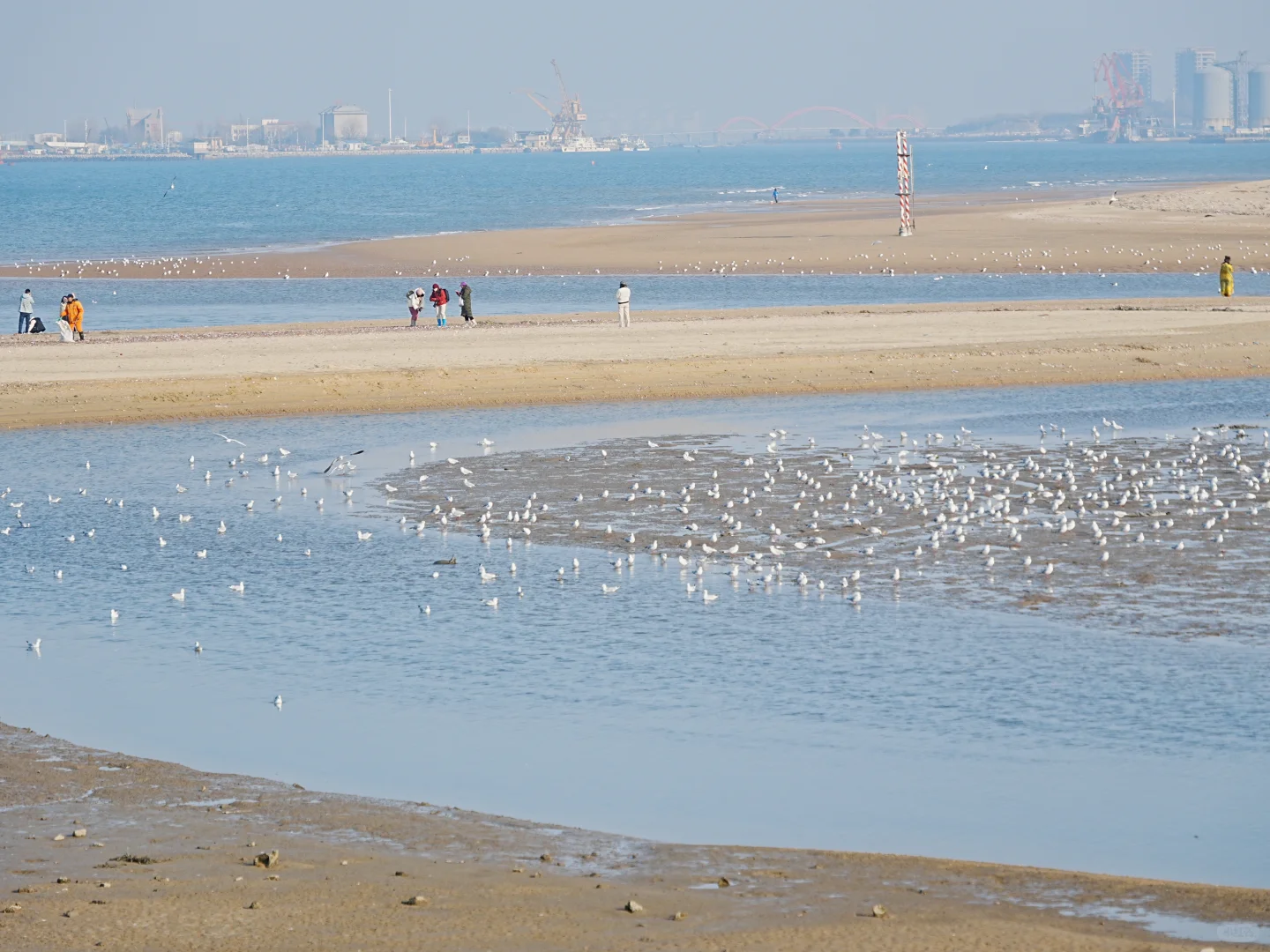 烟台真的很舒服