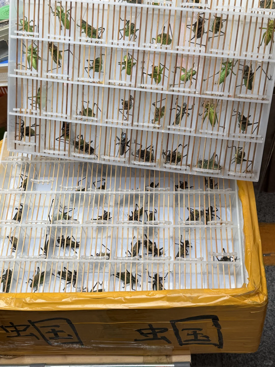 12.6实况！济南英雄山市集有一亿人。。。。。