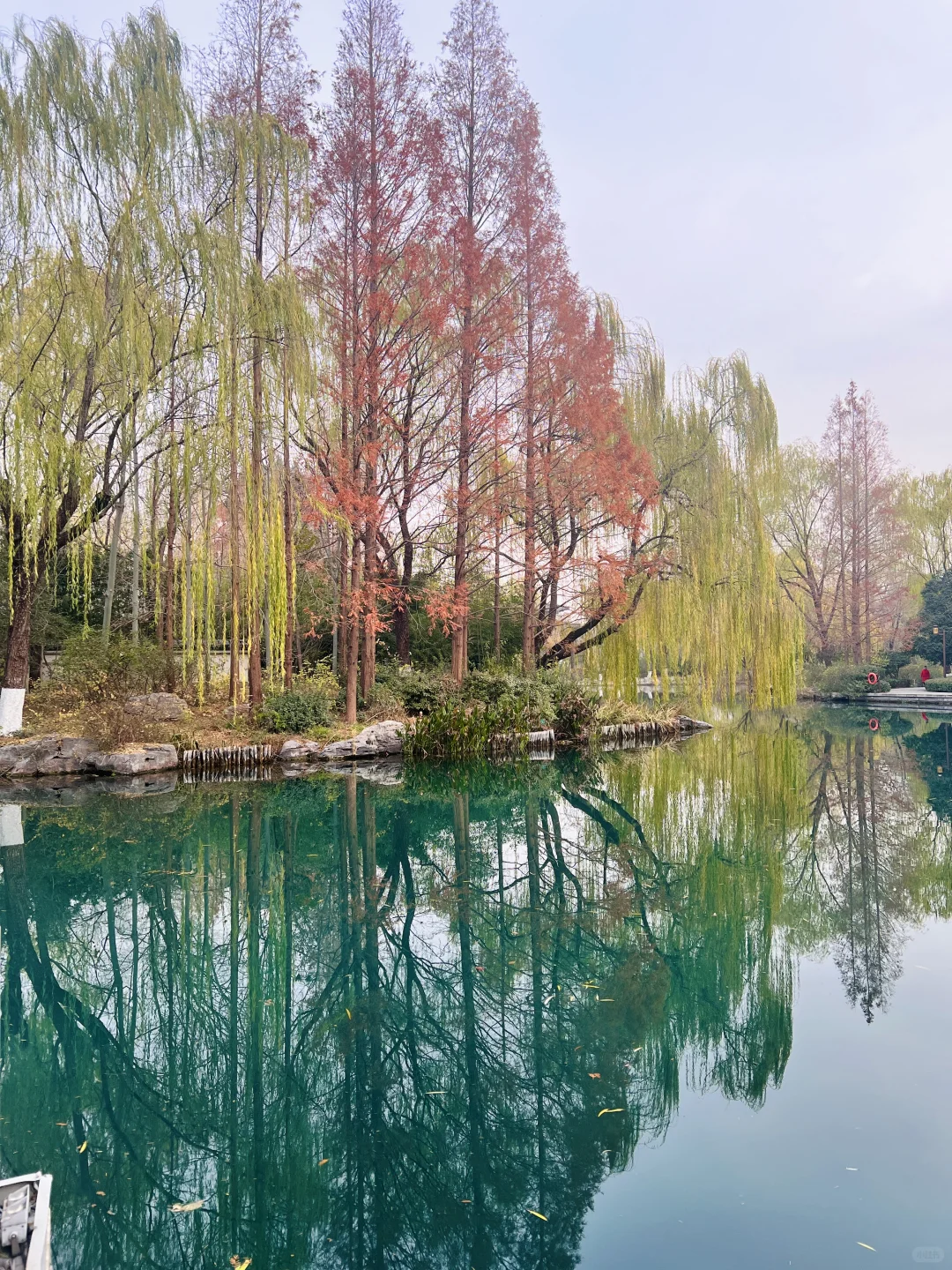 12.7日初冬的绝美大明湖