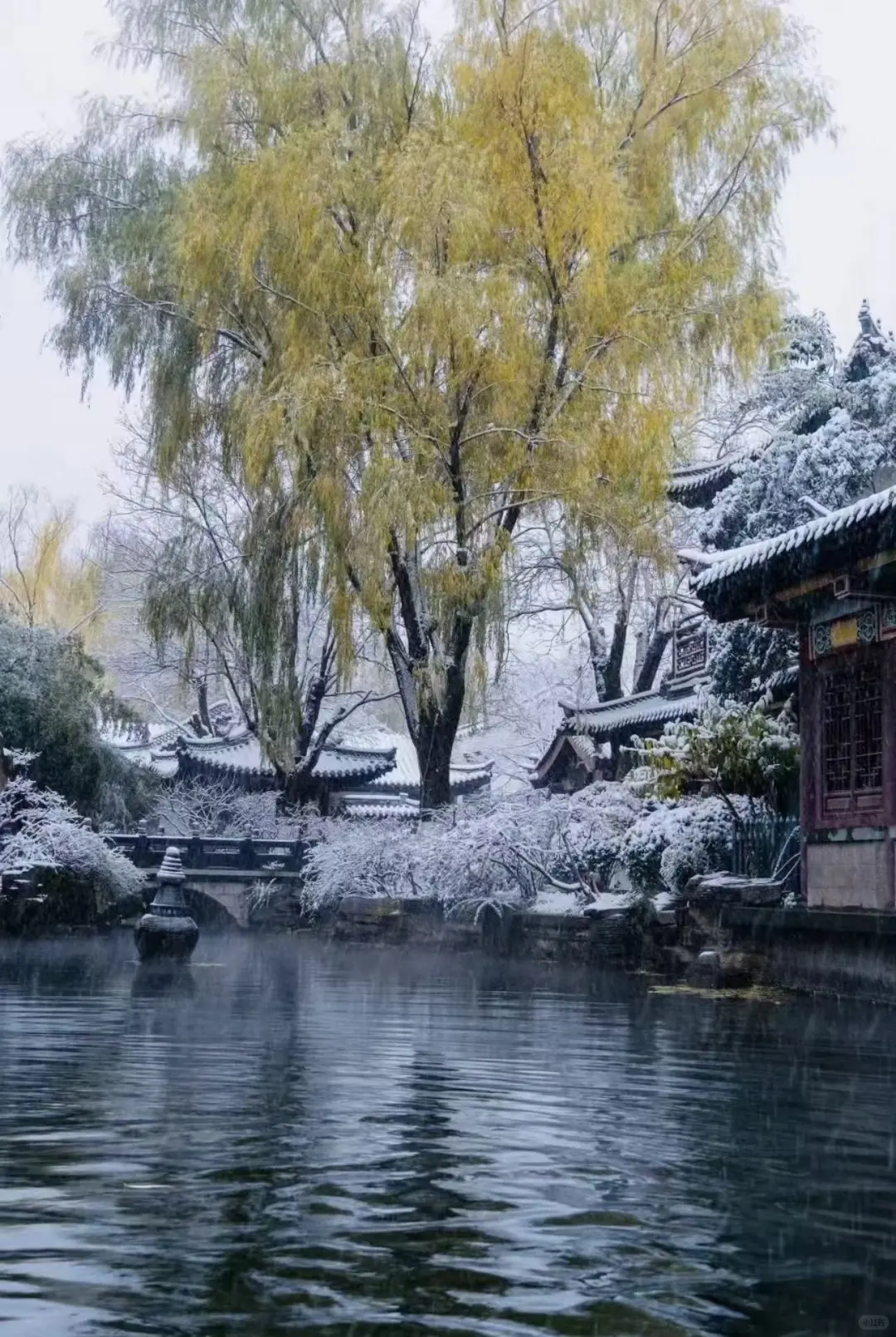 一起去看老舍笔下济南的冬天吧