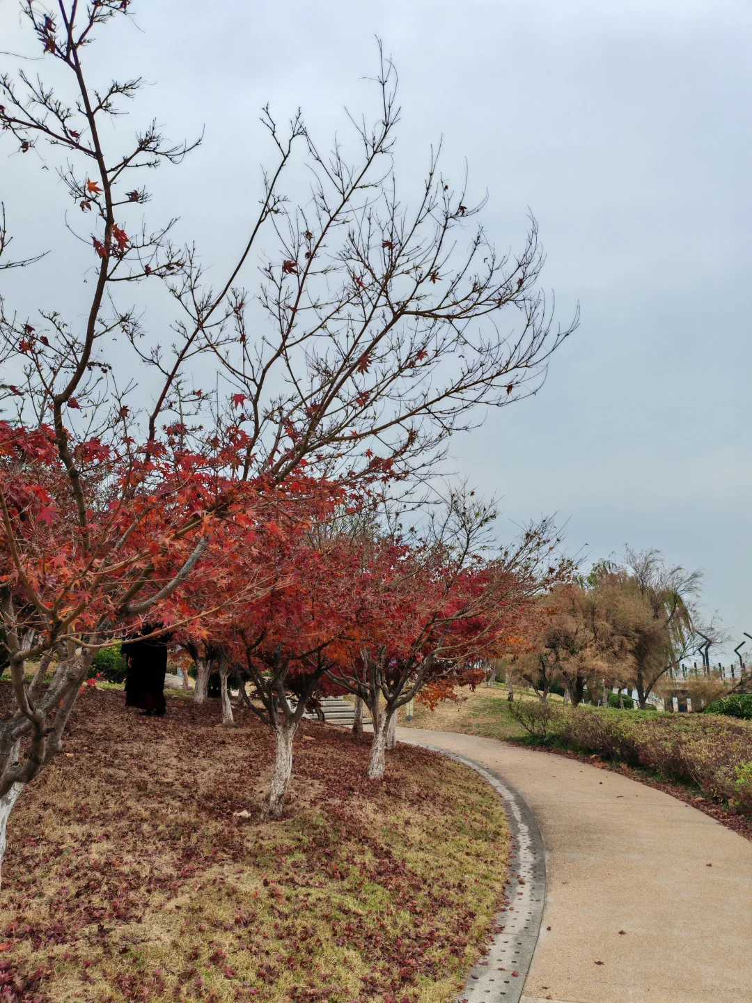 烟台没了啤酒，能否勾起你对往事的回忆？