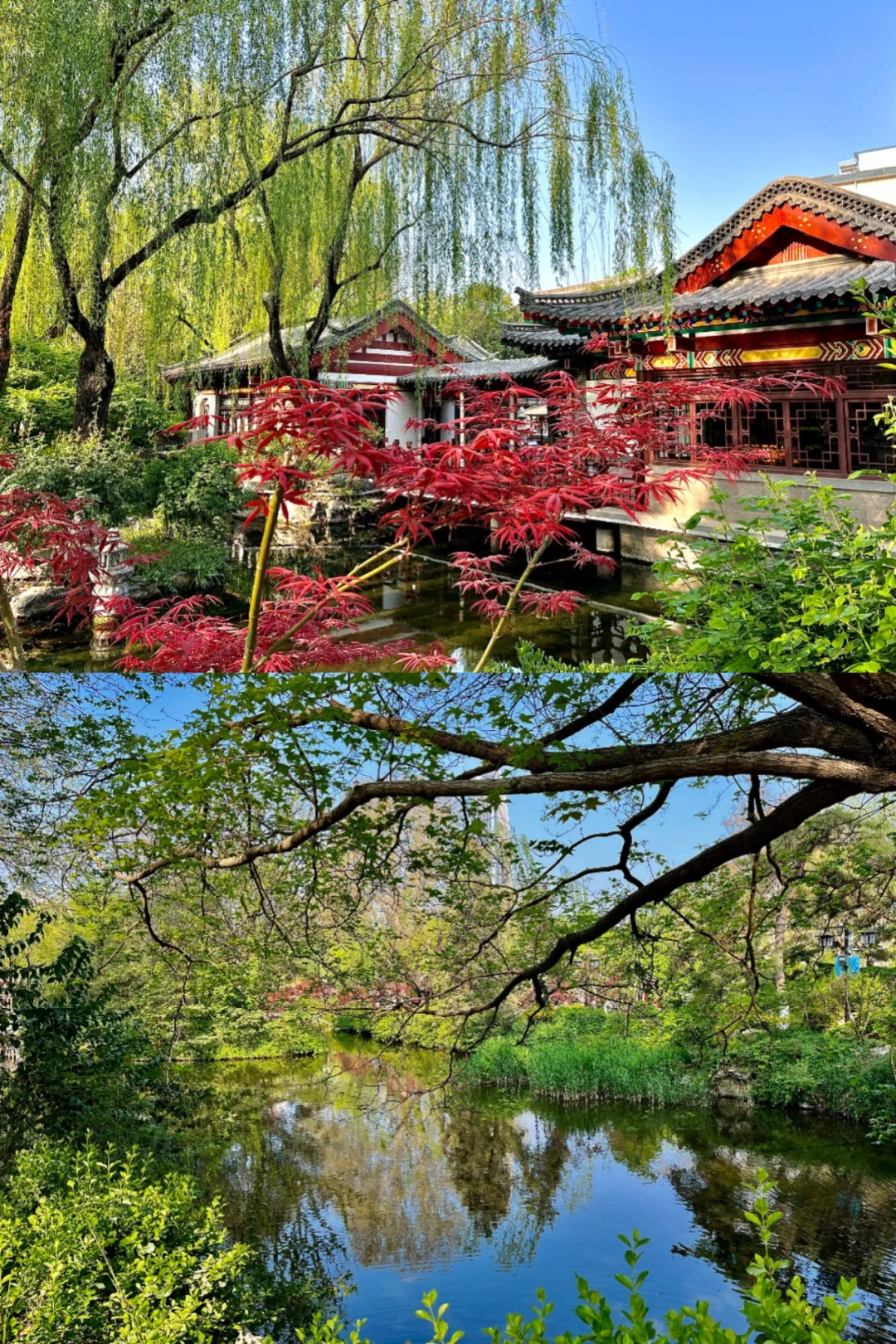 太原—济南（💰放plq）