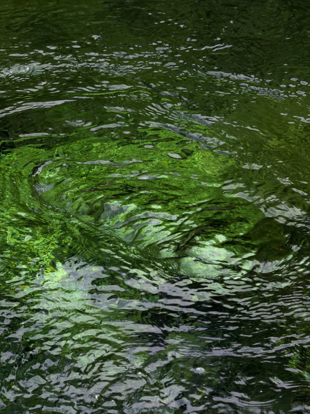 济南的秋冬是一种感觉