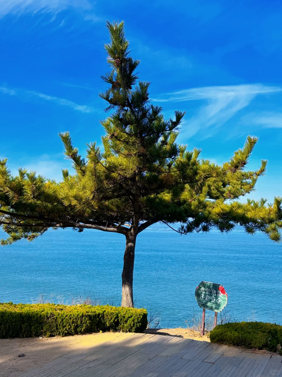 烟台！终于遇到我的理想海边城市