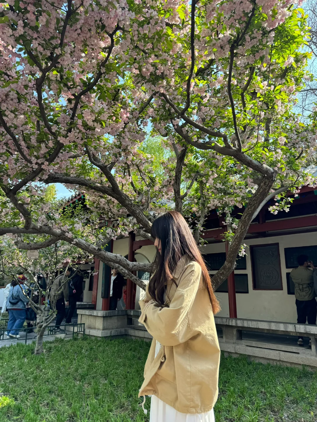 📍济南2天1晚|保姆级攻略🚶附citywalk路线