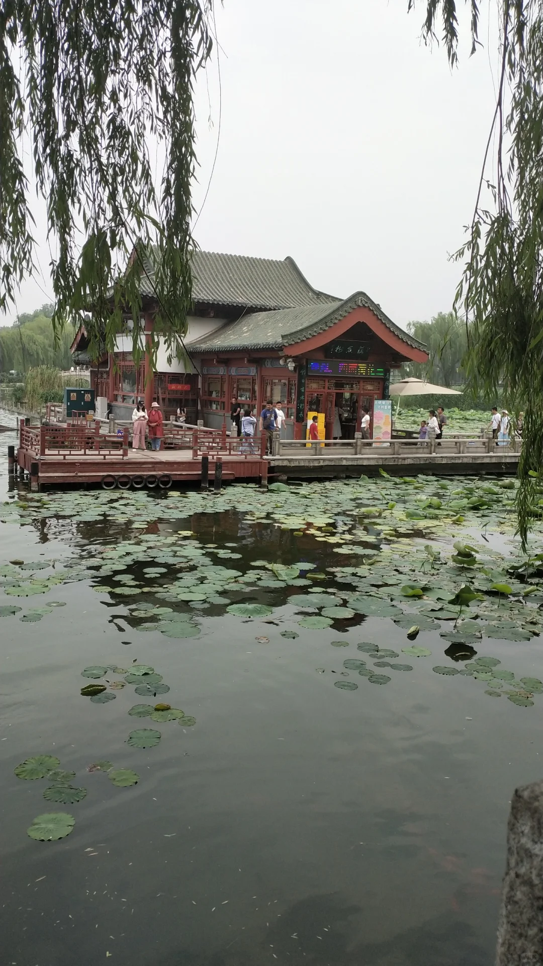 来济南溜达的一天