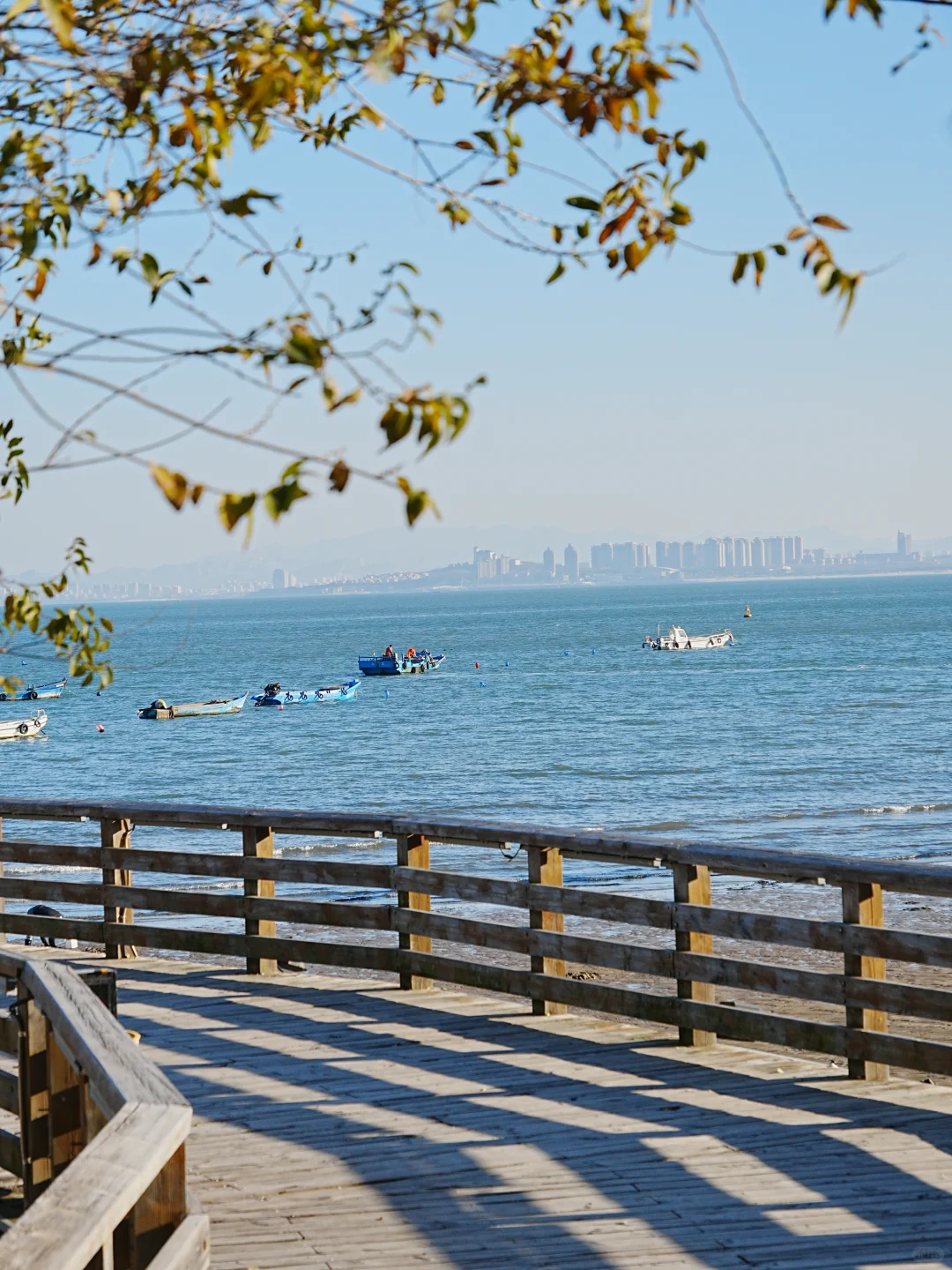 烟台真的很舒服