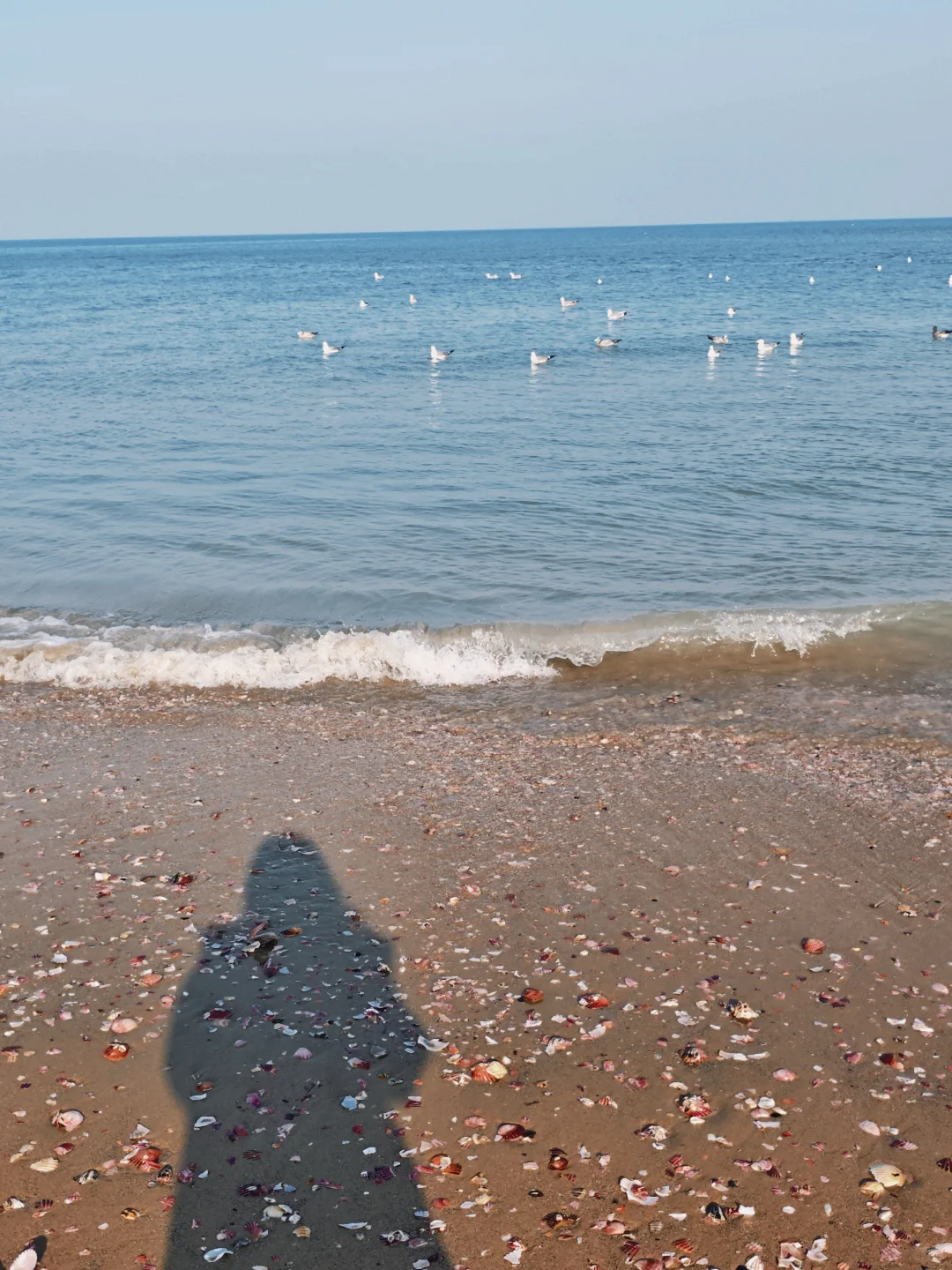 烟台真的很舒服