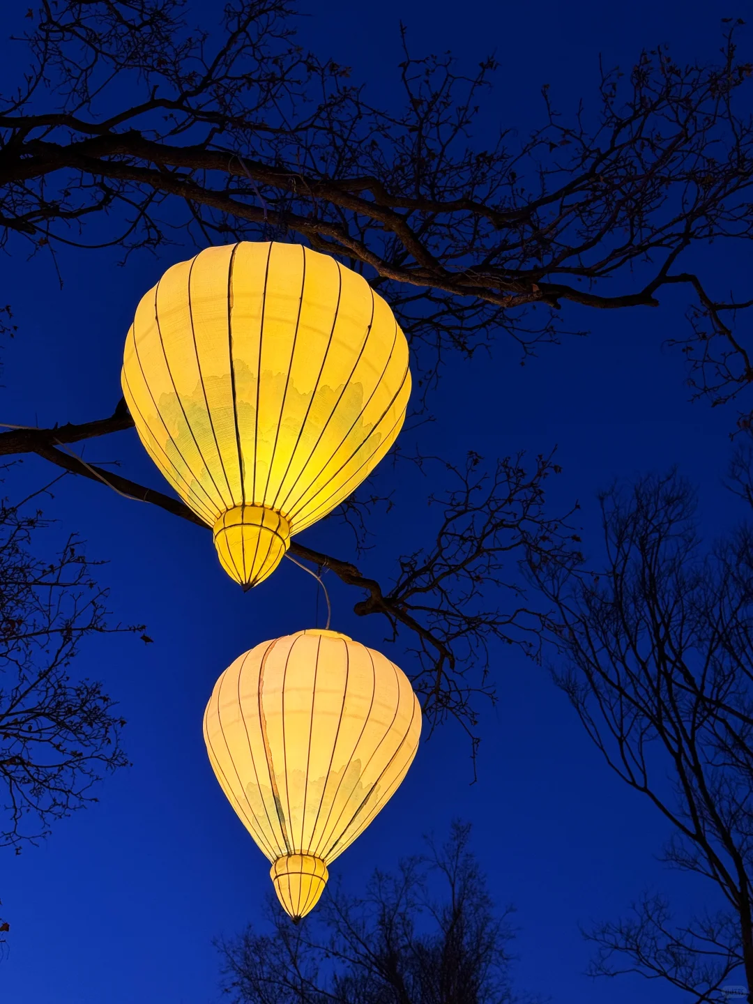 冬天的济南 带给我些许震撼。