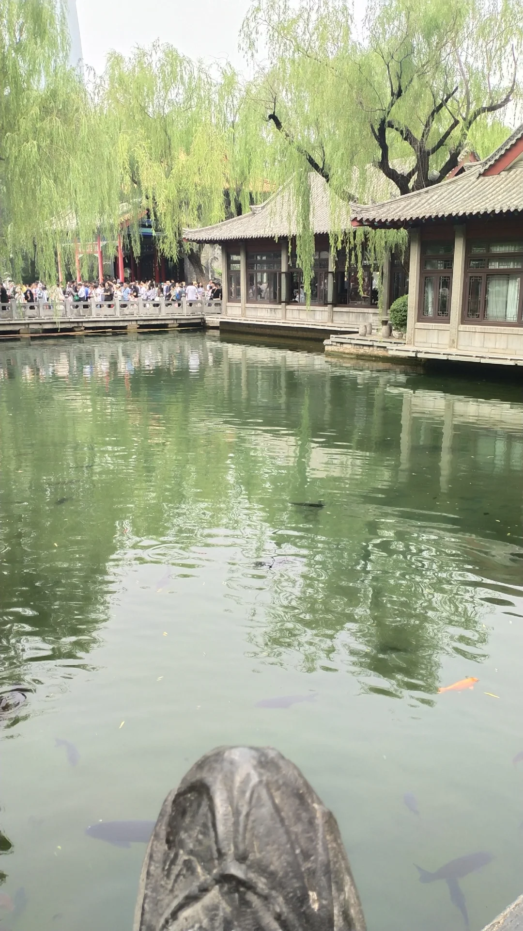 来济南溜达的一天