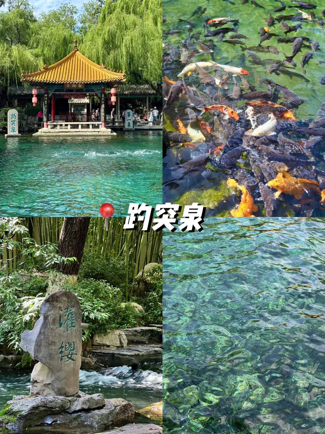 我发现了一种济南很新的打开方式❗️（附路书