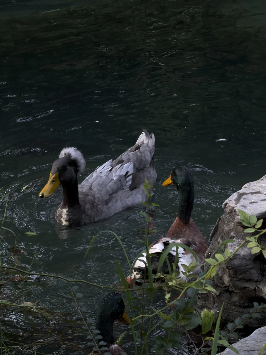 济南的秋冬是一种感觉