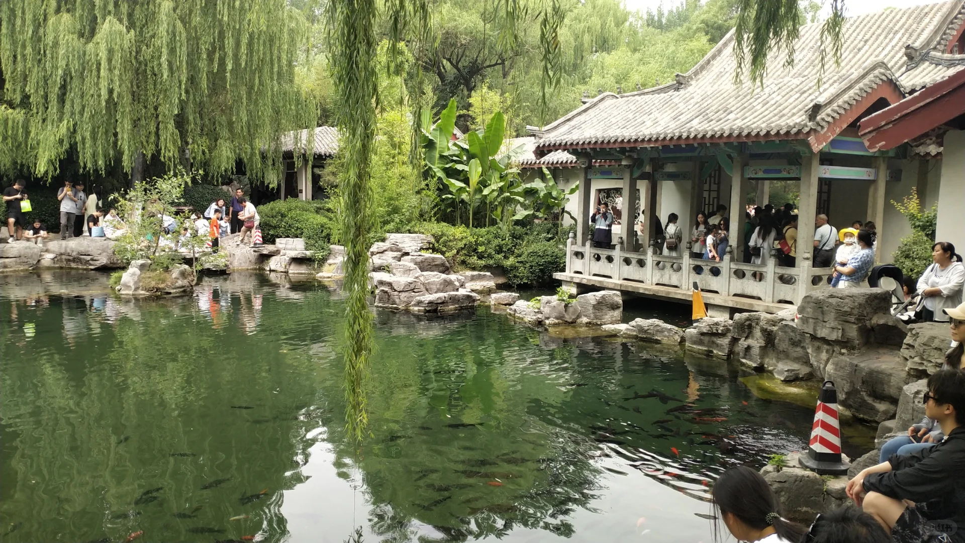 来济南溜达的一天