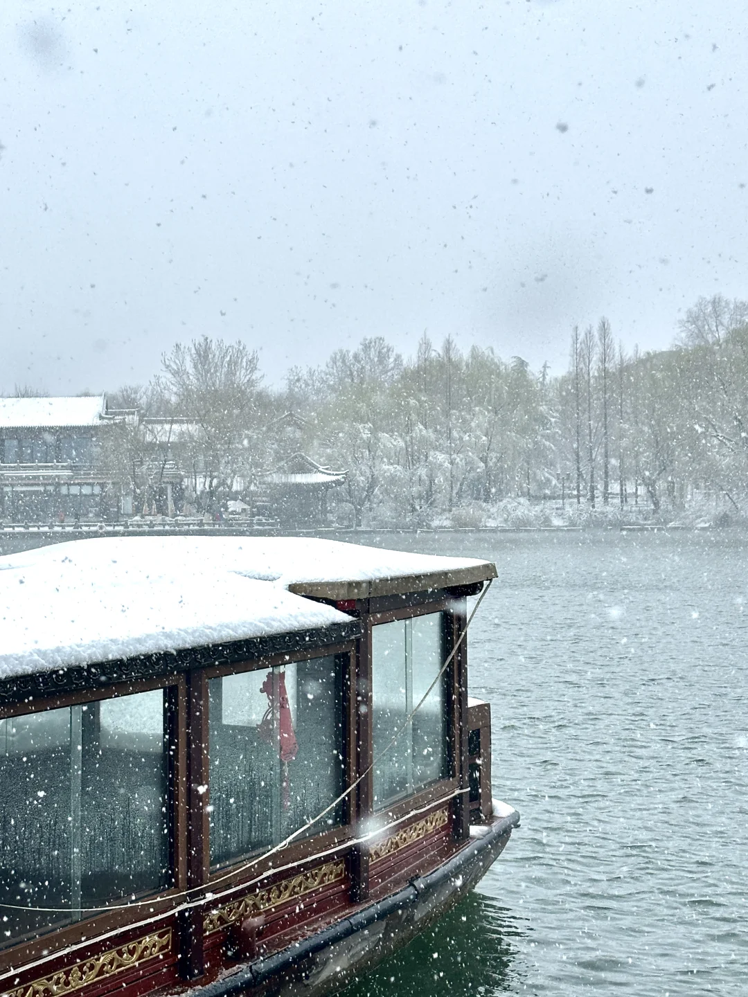 济南降温！！！冬天真的杀疯了！！！！！！（Live图！