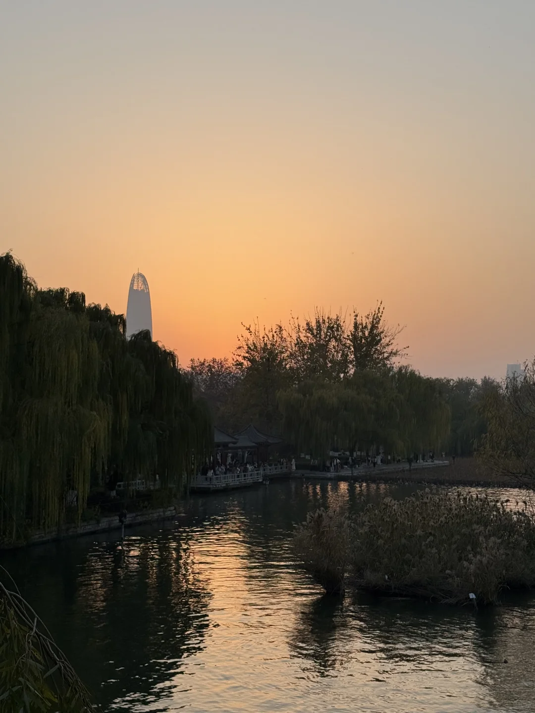 住在济南的法国人 🇫🇷
