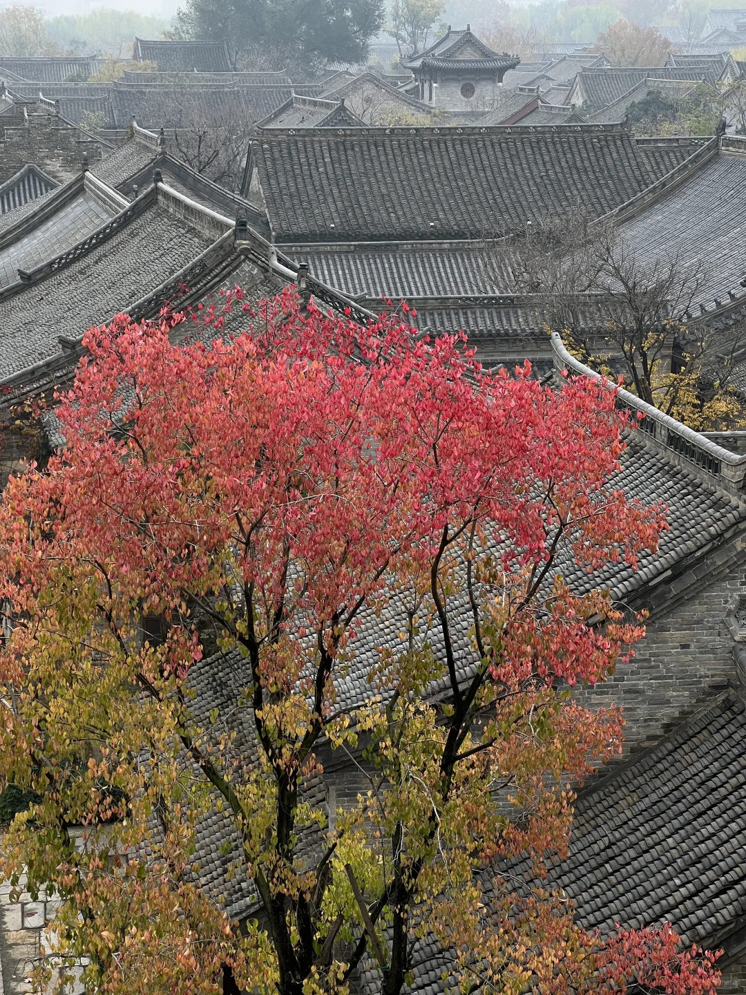 对济南明水古城上魅了🍂