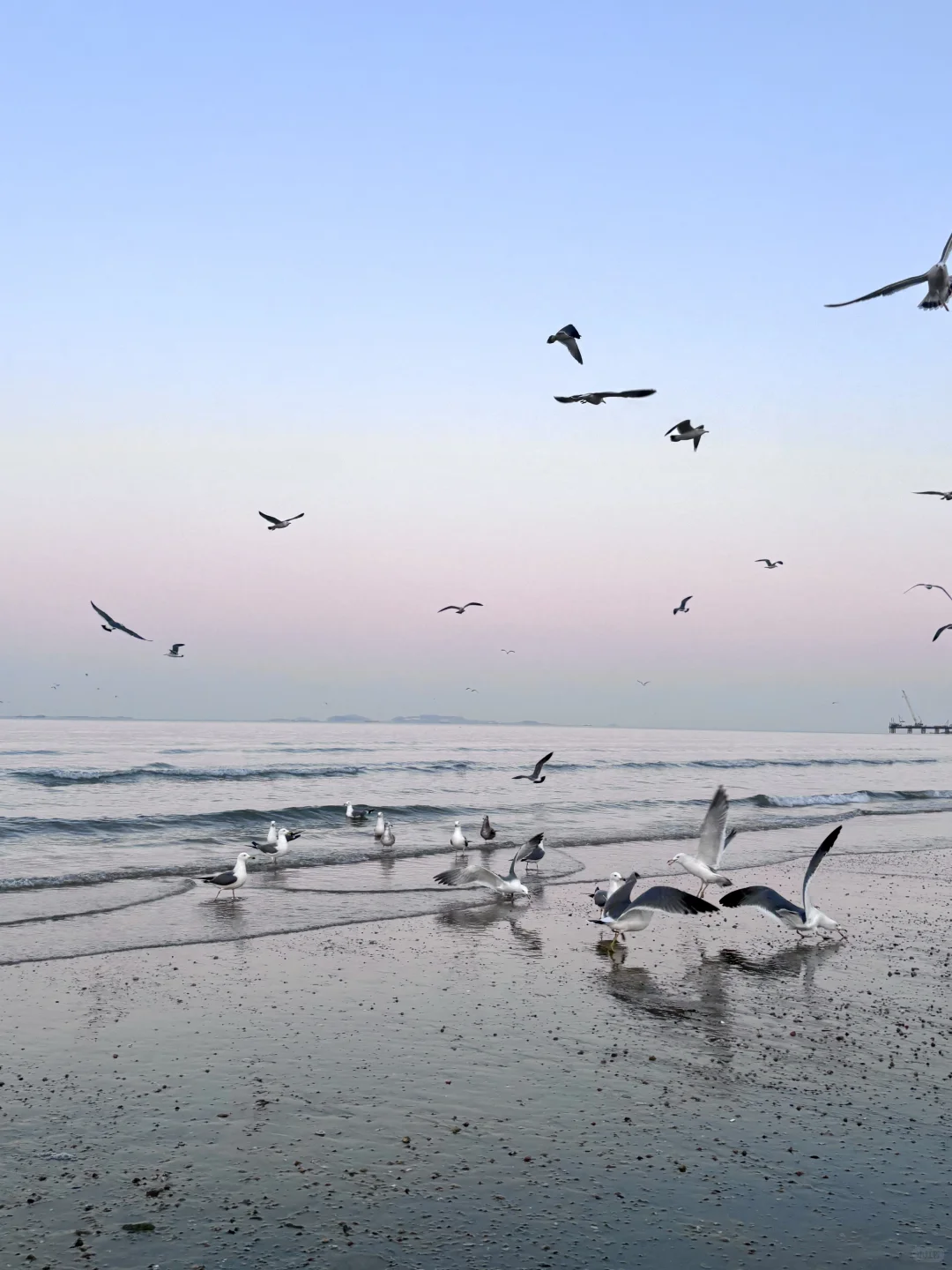 live实况，没人告诉我烟台这么美啊。。。