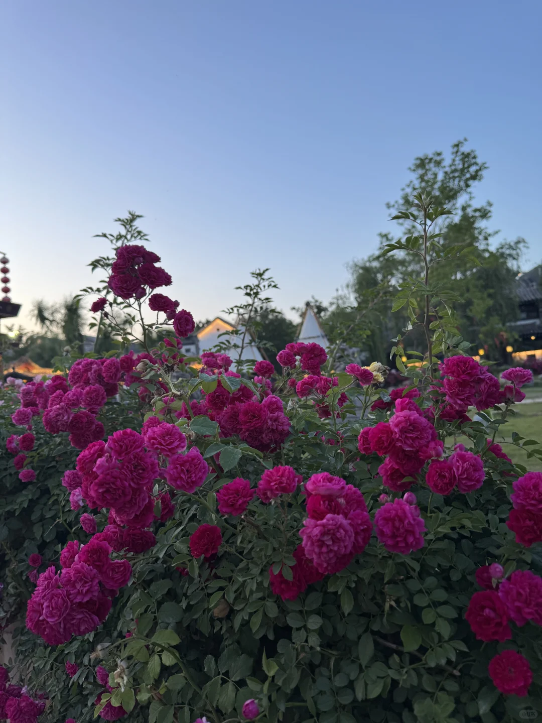 济南·朋友圈被赞爆了🥳